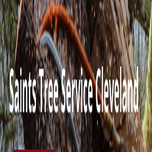 Saints Tree Service Cleveland